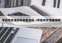 学软件开发好吗有前途吗（学软件开发赚钱吗）